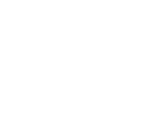Logo officiel de 